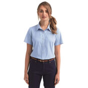 Women's Microcheck Gingham Short Sleeve Cotton Dress Shirt Thumbnail