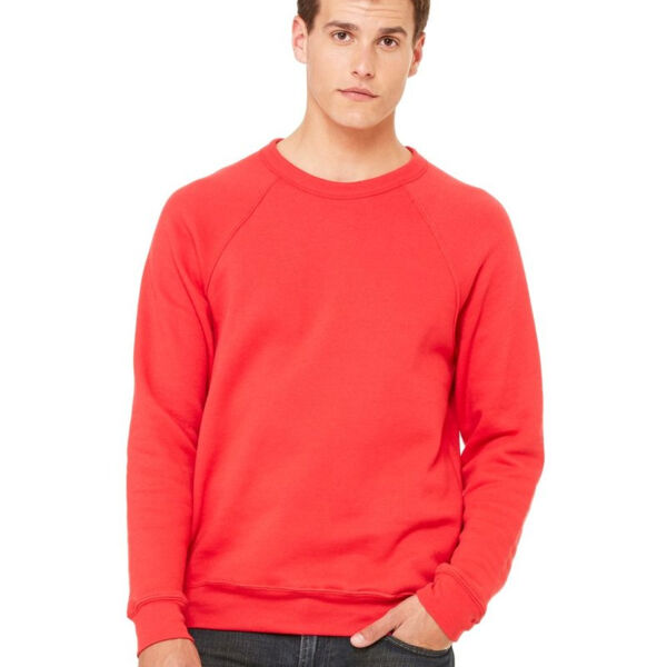 Unisex Sponge Fleece Raglan Sweatshirt Thumbnail